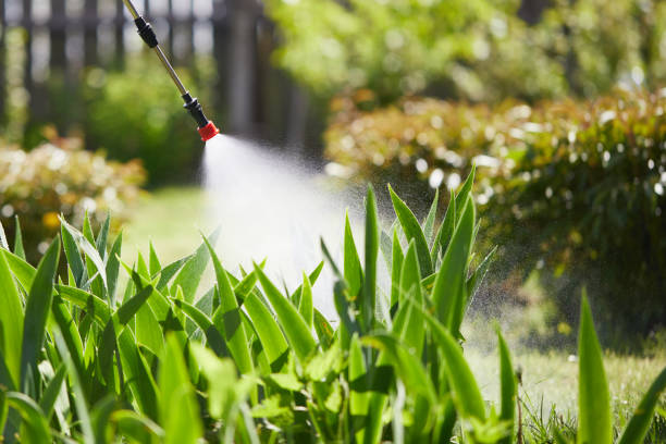 Tamper-Resistant Bait Stations for Rodents in North Lynnwood