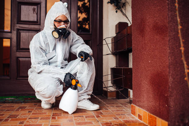 Attic and Crawl Space Rodent Treatment in North Lynnwood